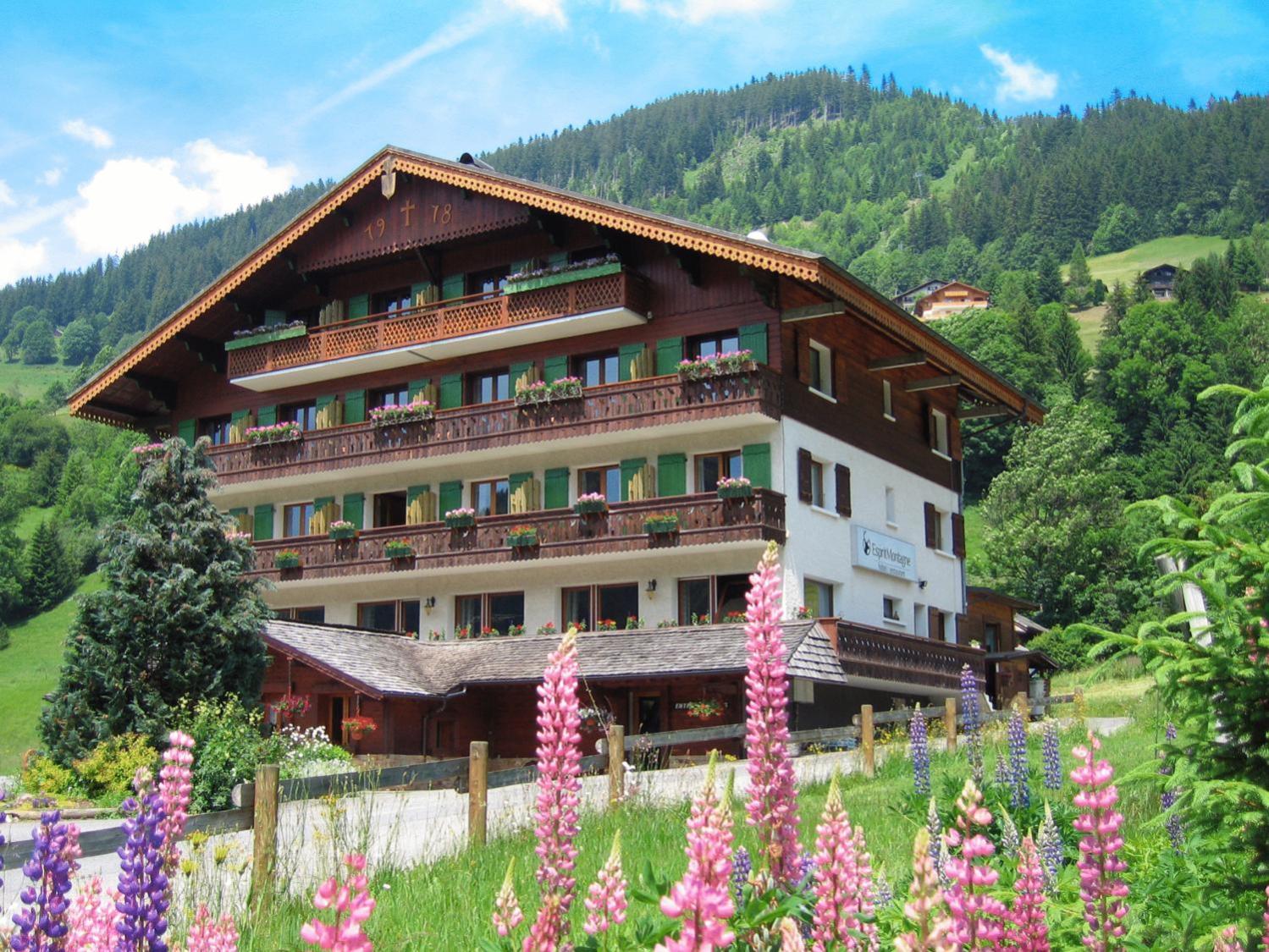 Esprit Montagne Hotel Abondance Exterior foto